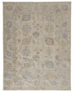 Brand new π₯° Verlaine Tierney Eco Friendly PET Oushak Accent Rug Home Area Rugs & Runners π