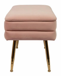 Coupon 👏 Verlaine Blush Storage Bench Home Accent Chairs ⭐ -Verlaine Shop 3050550558 RLLZ 4